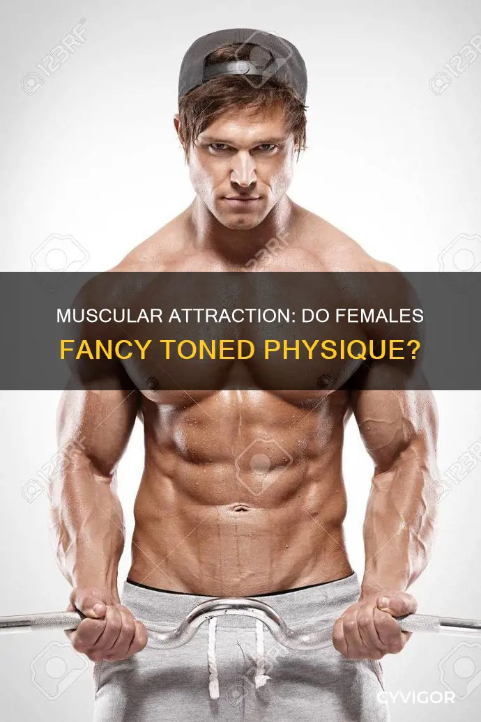 do muscles attract females