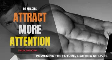Muscular Attraction: Do Muscles Really Draw Attention?