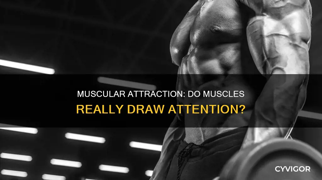 do muscles attract more attention