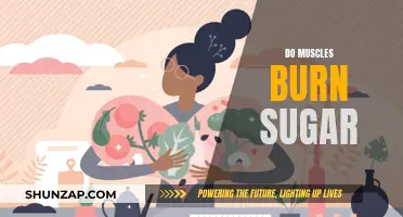 Muscle Power: Burning Sugar for Energy and Strength