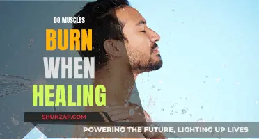 Muscle Healing: Burn to Build
