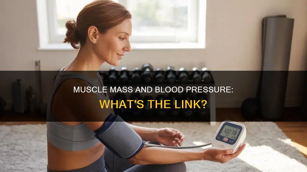 do muscles cause blood pressure to read higher