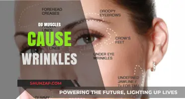 Muscle Movement and Wrinkles: What's the Link?