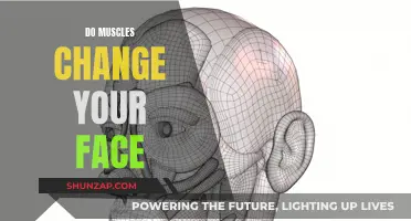 Muscle Power: Transforming Faces, Enhancing Features