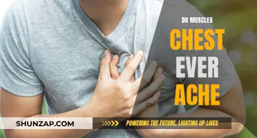 Why Do Muscles in the Chest Ache?