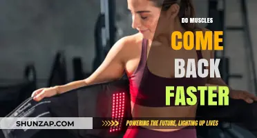 Reviving Strength: The Science Behind Muscle Recovery and Growth