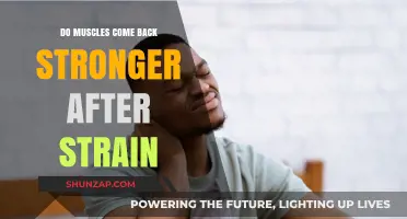 Rebuilding Strength: The Science Behind Muscle Recovery Post-Strain