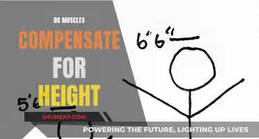 Muscle Power: Compensating for Height with Strength