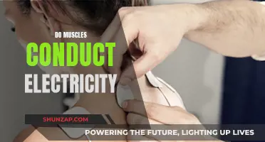 Muscles and Electricity: Conductive Tissue?
