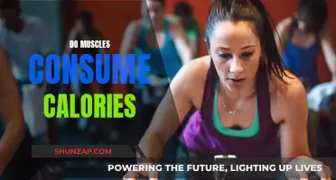 Muscle Power: Burning Calories While at Rest