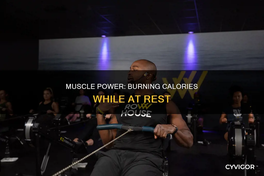 do muscles consume calories