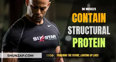 Muscle Tissue and Structural Proteins: What's the Connection?