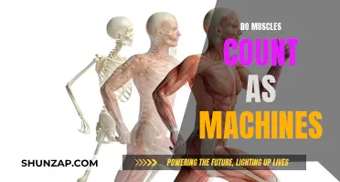Muscles and Machines: What's the Difference?
