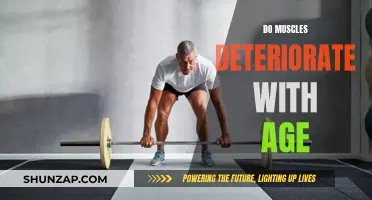 Muscle Aging: Deterioration and Strategies to Stay Strong