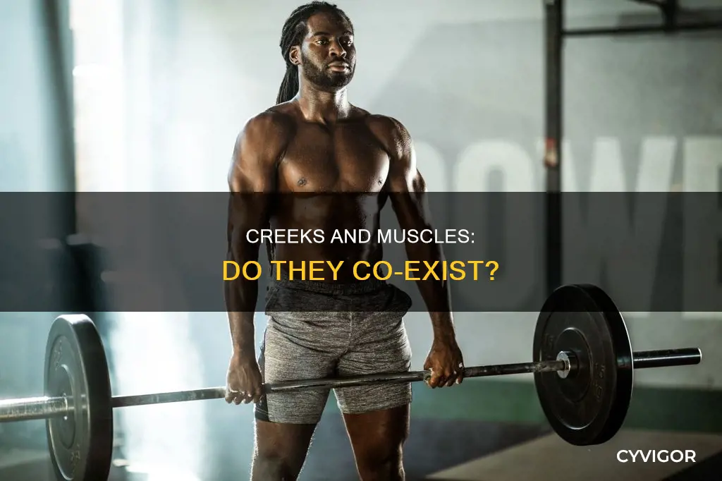 do muscles exist in creeks