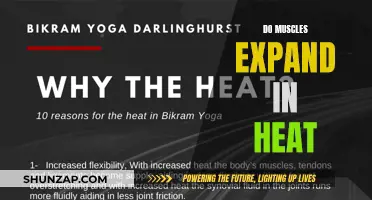 Muscle Growth: Heat Expansion Theory Explained