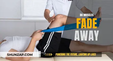 The Mystery of Muscle Loss: Why Do Muscles Fade?