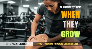 Muscle Growth Sensation: Understanding the Feeling of Growing Muscles