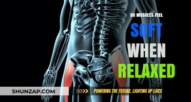 Why Relaxed Muscles Feel Soft: Understanding Muscle Tone and Relaxation
