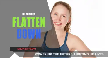Muscle Myth: Can Muscles Flatten?