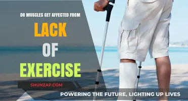 The Impact of Inactivity: How Lack of Exercise Affects Muscles