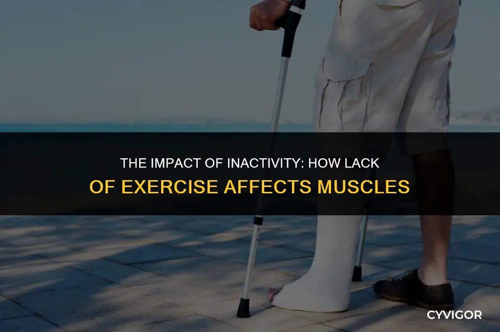 do muscles get affected from lack of exercise