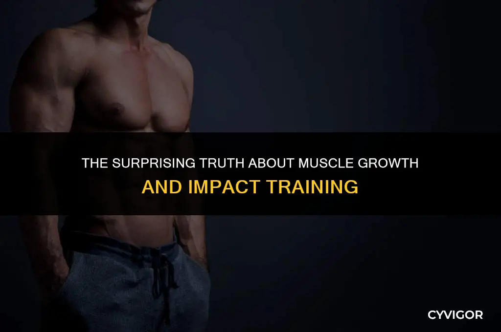 do muscles get bigger after being hit