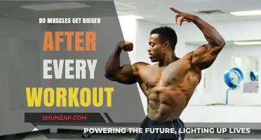 Building Strength: The Truth About Muscle Growth Post-Workout