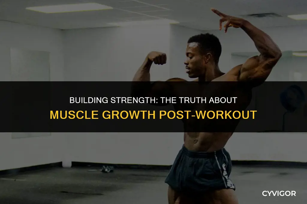 do muscles get bigger after every workout