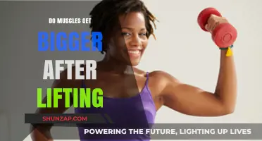 Building Strength: The Science Behind Muscle Growth and Weightlifting