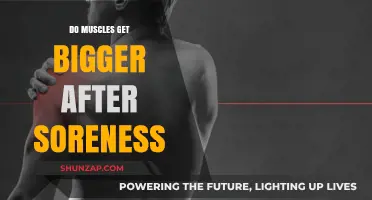Muscle Growth and Soreness: Understanding the Connection