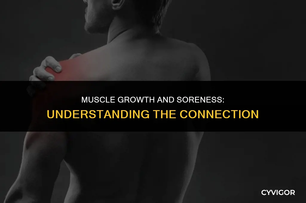 do muscles get bigger after soreness