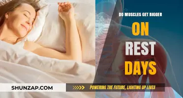 Unveiling the Truth: Do Muscles Really Grow on Rest Days?