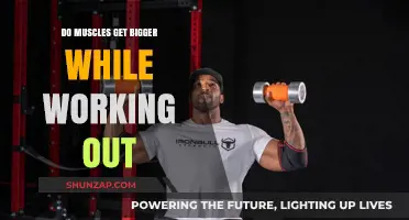 Muscle Growth Unveiled: How Workouts Transform Size and Strength