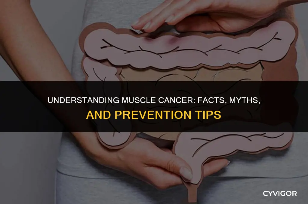 do muscles get cancer