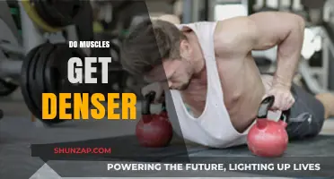 Muscle Density: Unraveling the Science Behind Strength and Size