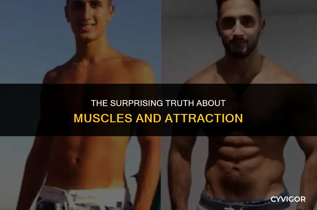 do muscles get girls