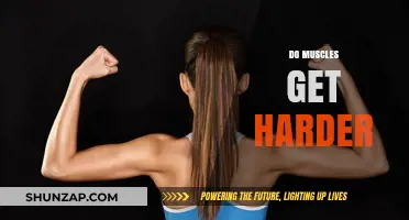 Exploring Muscle Firmness: Facts and Myths Uncovered
