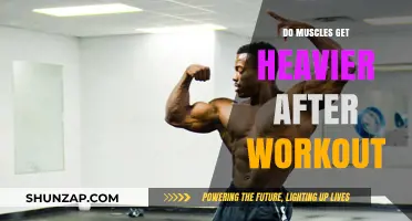 Post-Workout Muscle Gain: Understanding the Science Behind It