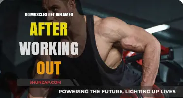 Post-Workout Muscle Inflammation: Causes, Symptoms, and Recovery Tips