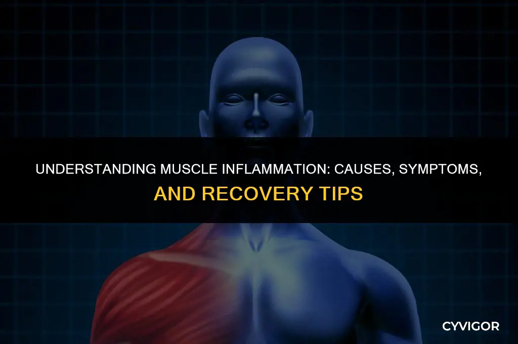 do muscles get inflamed