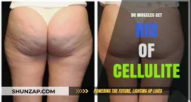 Smooth Skin, Strong Muscles: The Truth About Cellulite Reduction