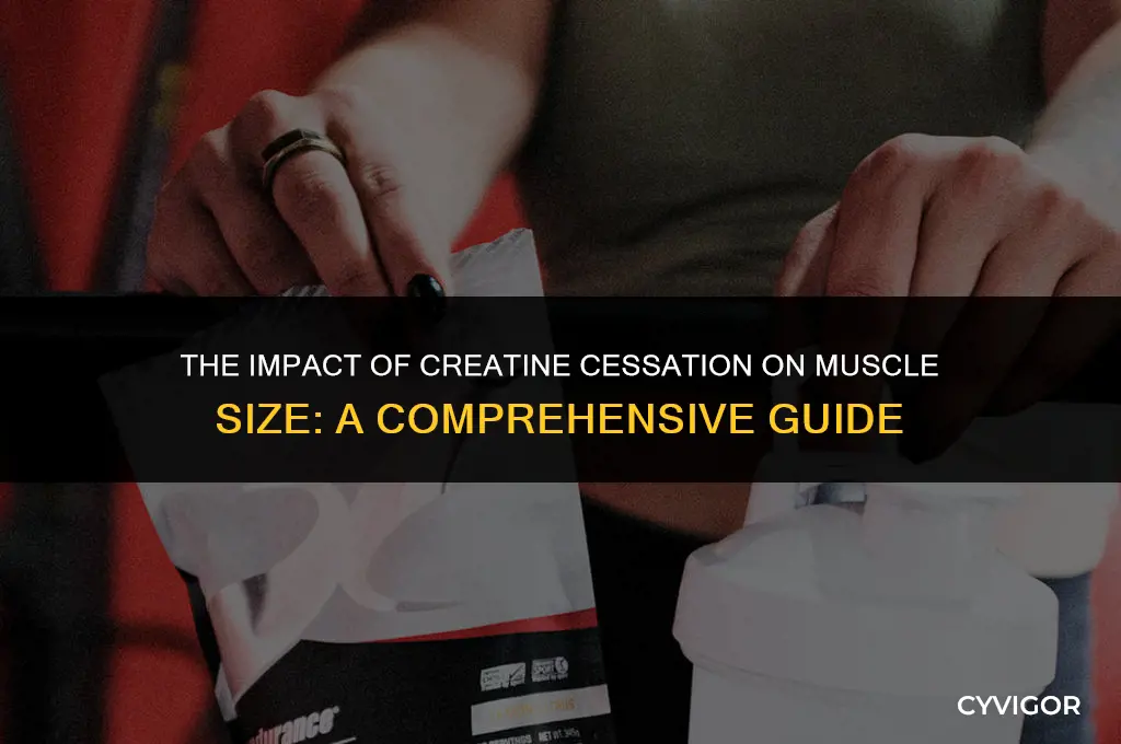 do muscles get smaller after creatine