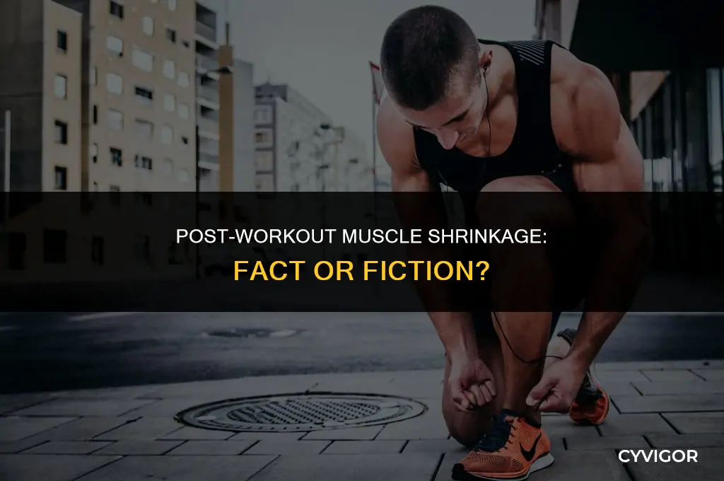 do muscles get smaller after workout