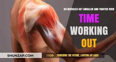Muscle Changes Over Time: Shrinking and Tightening with Workouts?