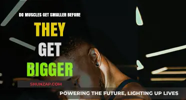 The Paradox of Muscle Growth: Why They Shrink Before They Expand
