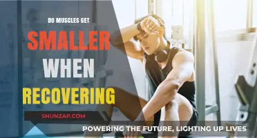 Muscle Recovery: Understanding the Process of Muscle Atrophy and Rebuilding