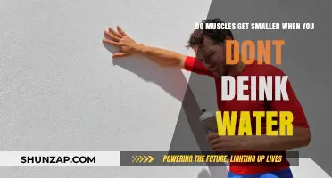 Shrinking Muscles: The Surprising Effects of Dehydration on Your Body