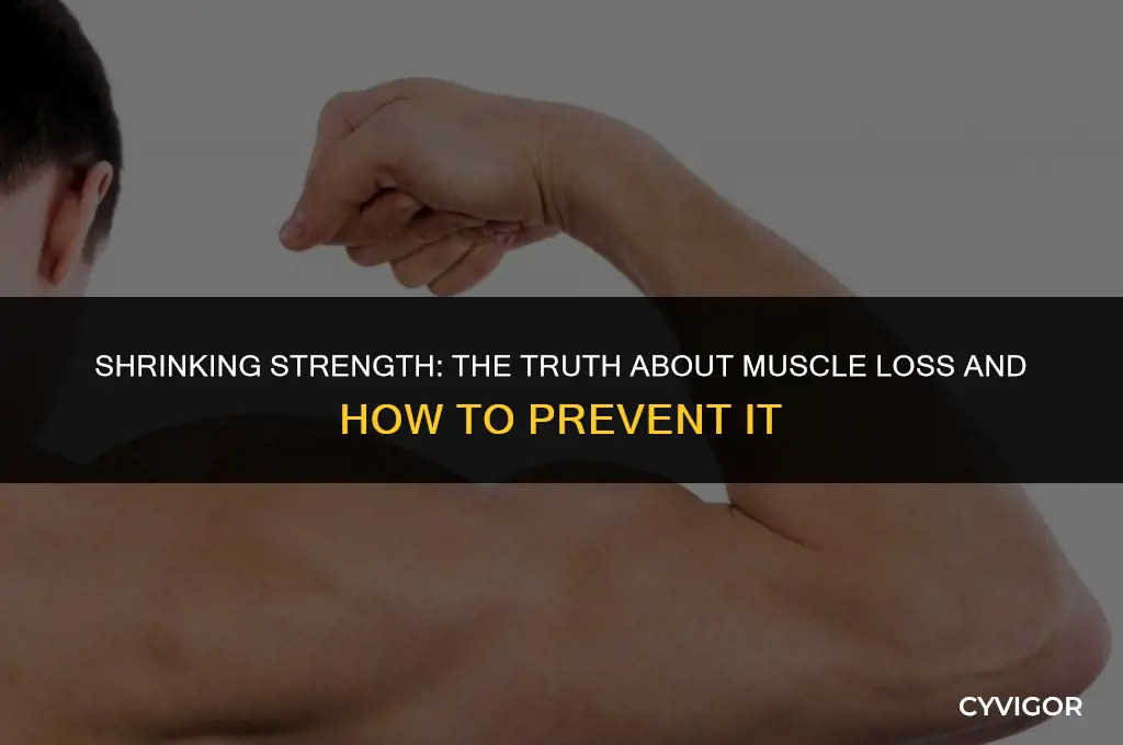do muscles get smaller