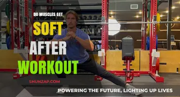 Post-Workout Muscle Softness: Understanding the Science Behind It